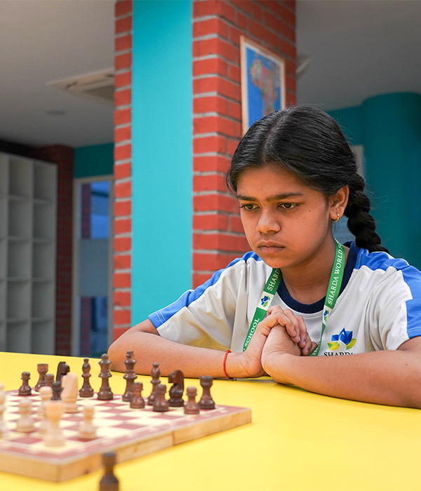 Indoor Sports Chess